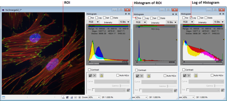 Intensity Histogram Example
